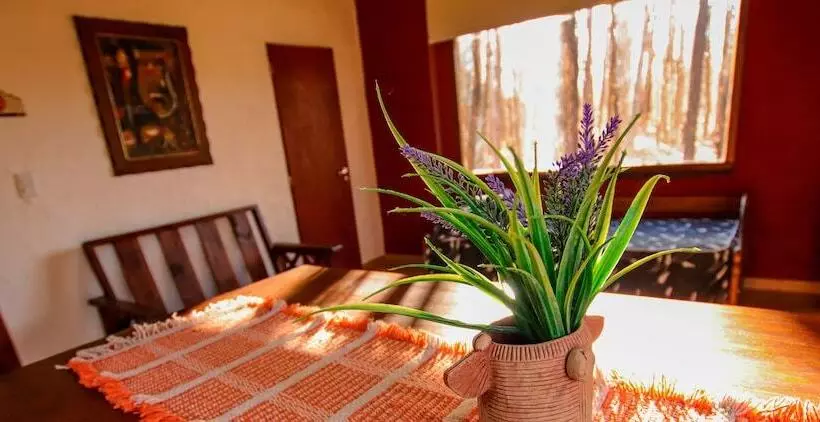 Cabañas En Malargue