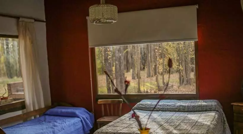 Cabañas En Malargue