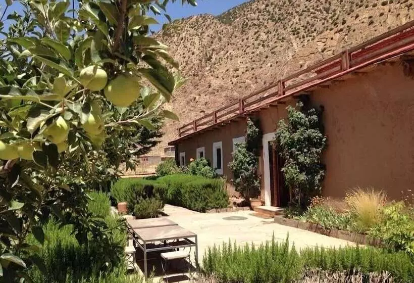 Flilou La Maison Berbère   Hostel