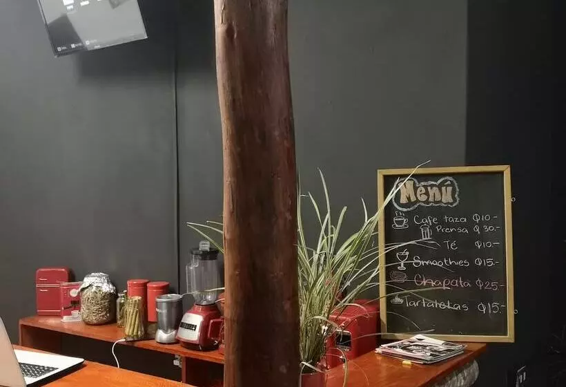 Hostel Cafe & Arte