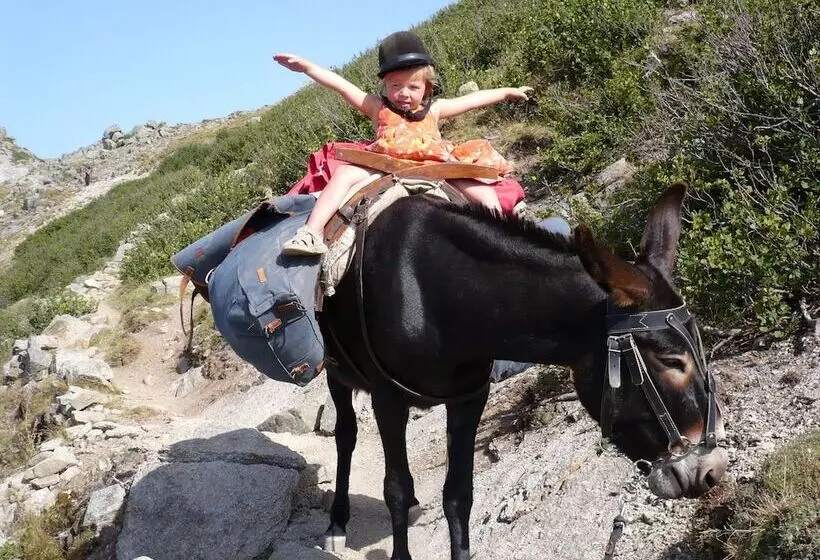 Hotelli Amoudou Lodge Camp