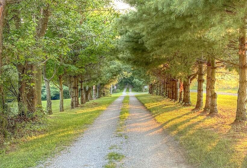 Отель Cricket Hill Lodge & Cabins