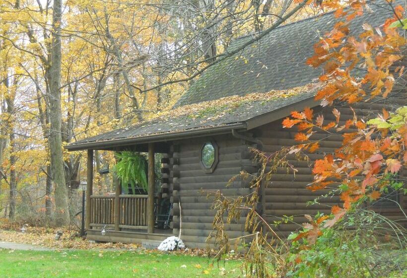 Отель Cricket Hill Lodge & Cabins