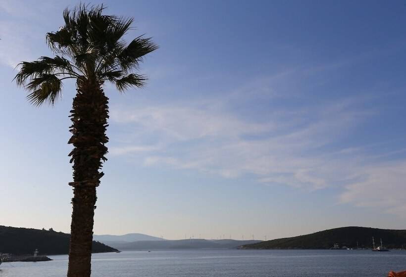 فندق Nar Pansiyon Cafe