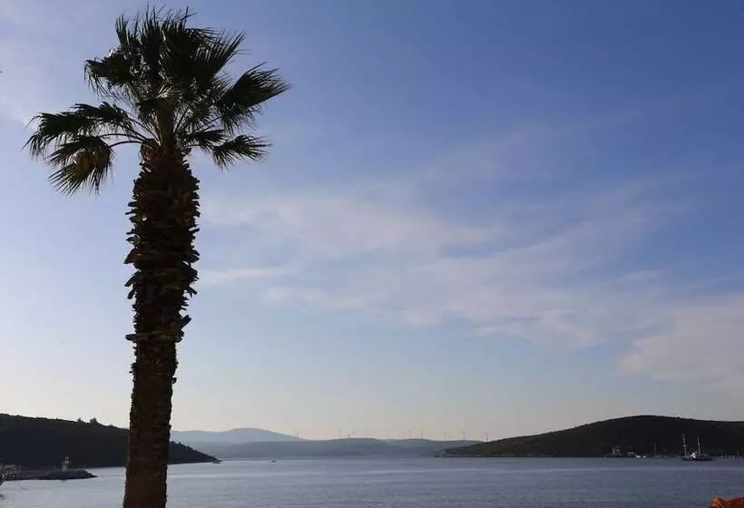 ホテル Nar Pansiyon Cafe