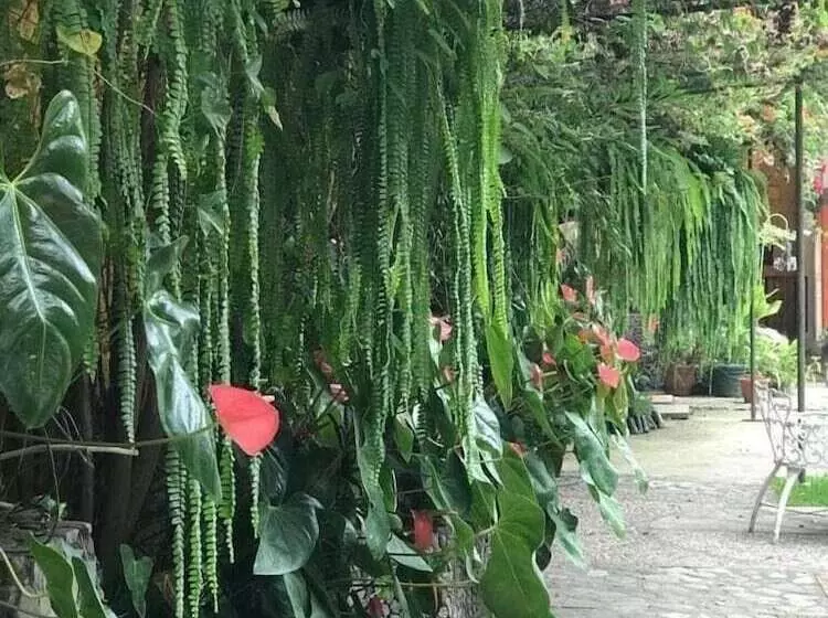 هتل Posada De Don Jose