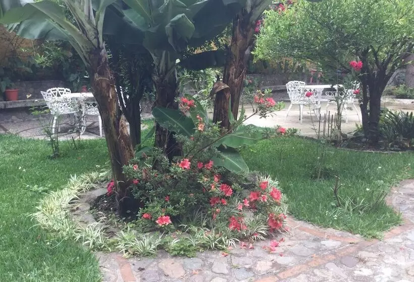 هتل Posada De Don Jose