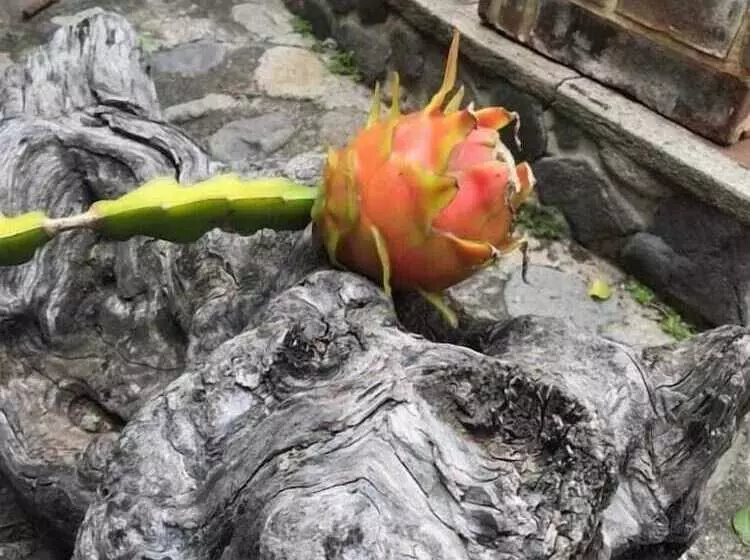 هتل Posada De Don Jose