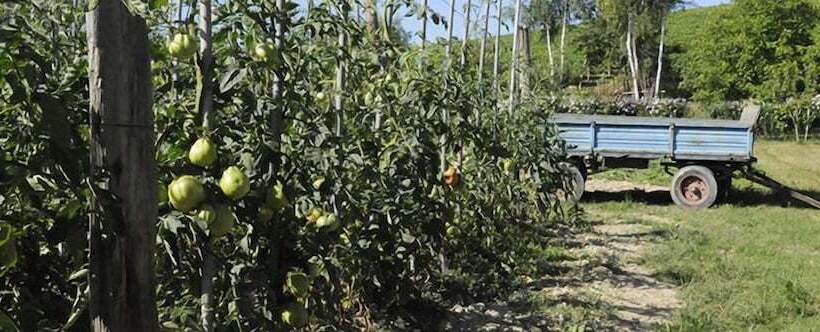 בית מלון כפרי Agriturismo Ca  Brusà