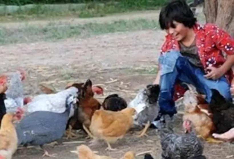 Maaseutuhotelli Pousada Fazenda Santa Fé