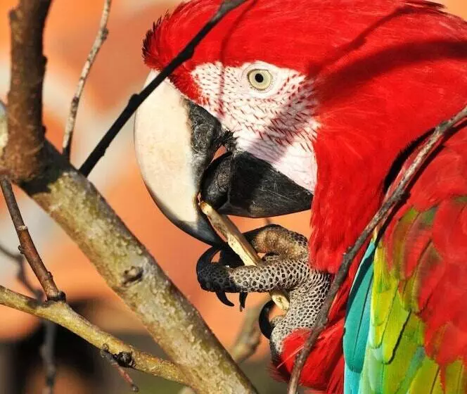 Maaseutuhotelli Pousada Fazenda Santa Fé