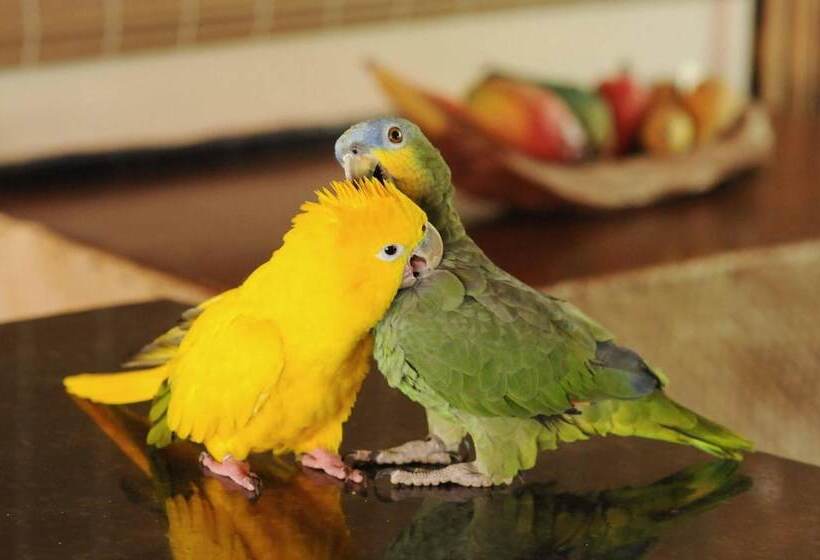 Landhotel Pousada Fazenda Santa Fé