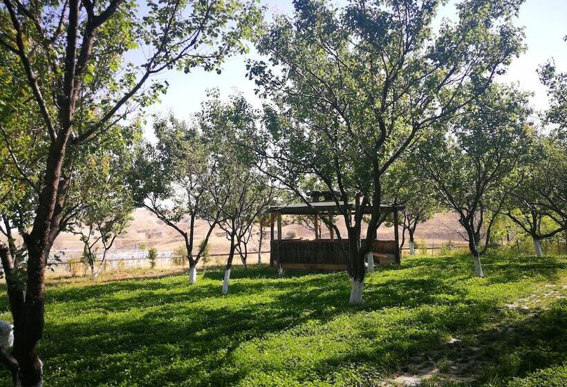 ペンション Atlitur Cappadocia