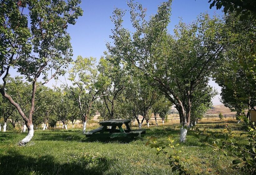 ペンション Atlitur Cappadocia
