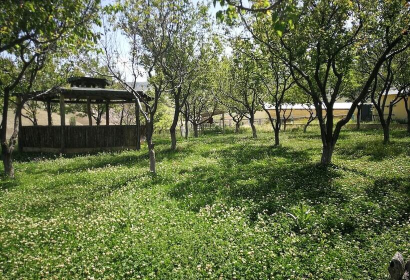 ペンション Atlitur Cappadocia