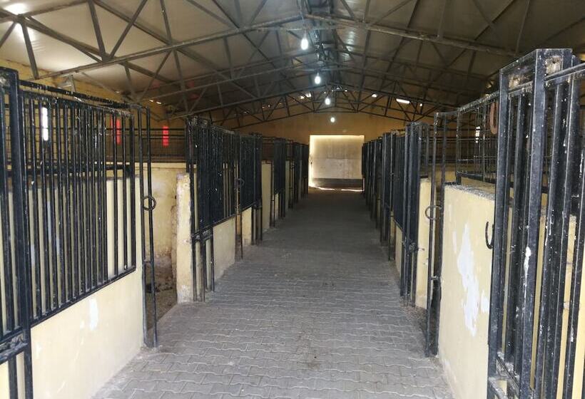 ペンション Atlitur Cappadocia