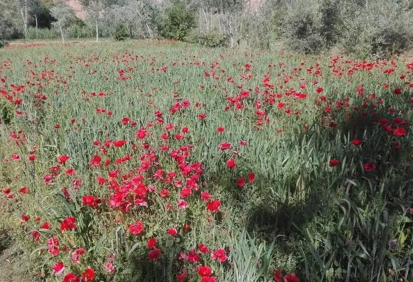 Majatalo Kasbah Tasseurte
