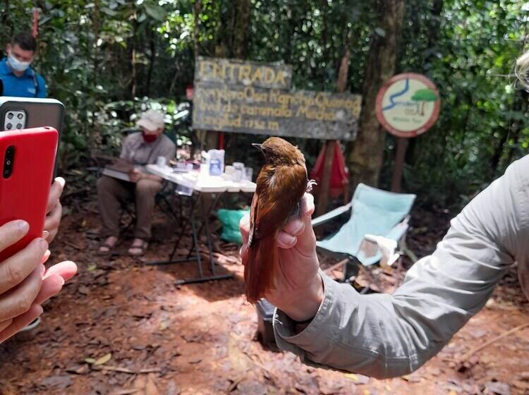 ペンション Rancho Verde De Osa