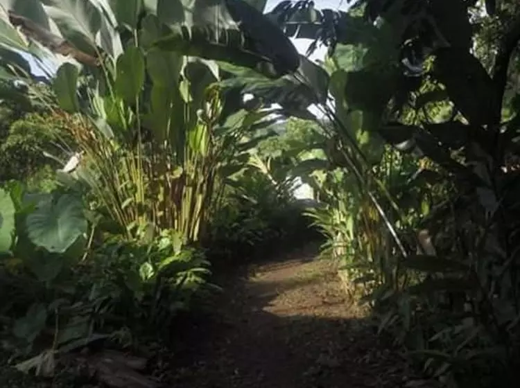 ペンション Rancho Verde De Osa