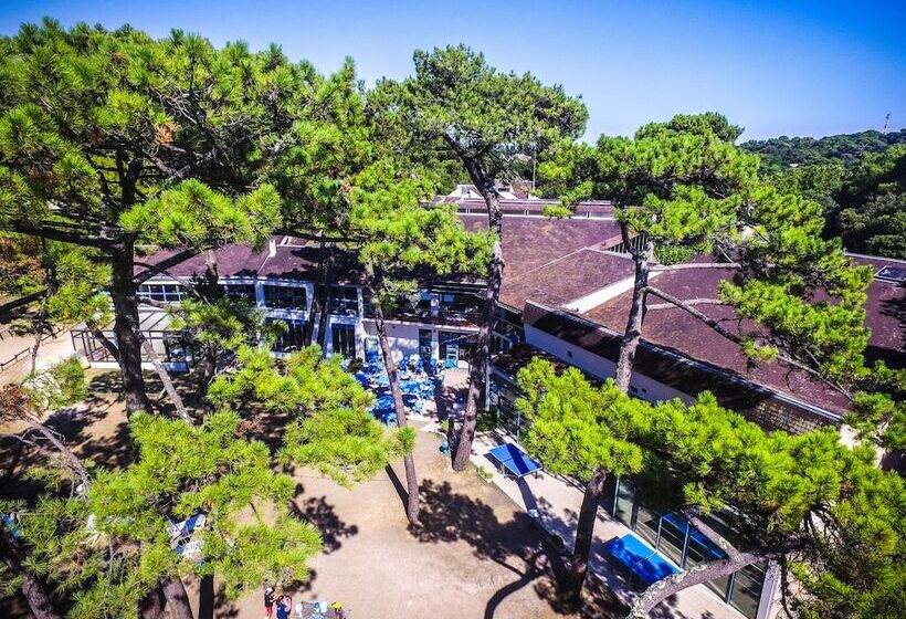 渡假胜地  Vacances Passion L Arneche