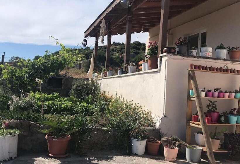 Yörüklerevi Pansiyon