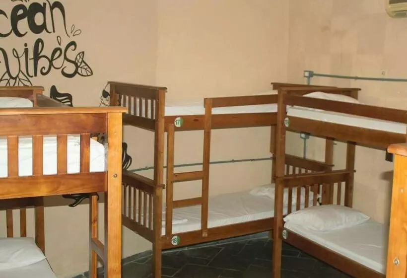 Curvão Surf House   Hostel