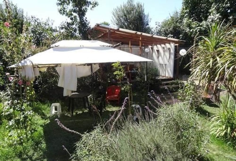 مبيت وإفطار Hostal Vida 2000