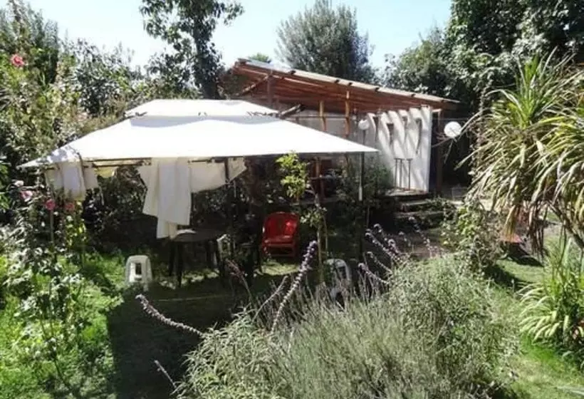 Aamiaismajoitus (B&B) Hostal Vida 2000