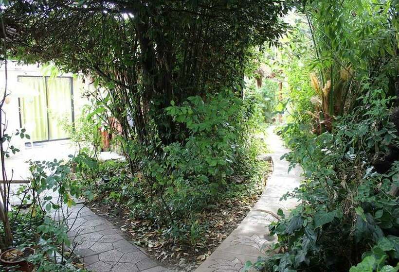 مبيت وإفطار Hostal Vida 2000