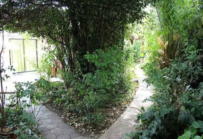 Aamiaismajoitus (B&B) Hostal Vida 2000