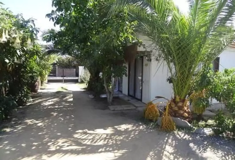 Aamiaismajoitus (B&B) Hostal Vida 2000