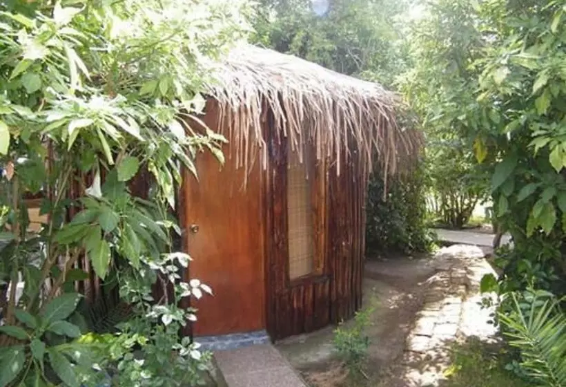 Aamiaismajoitus (B&B) Hostal Vida 2000