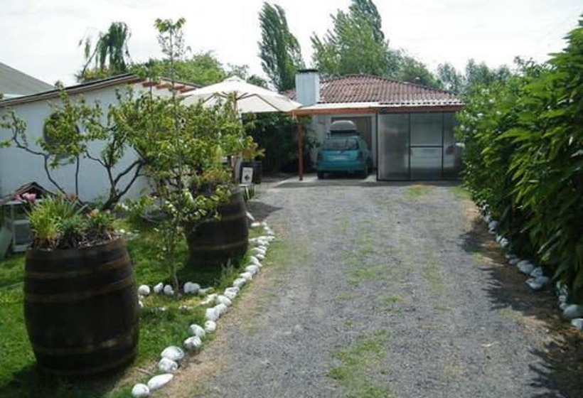 مبيت وإفطار Hostal Vida 2000