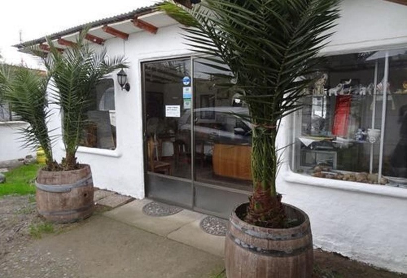 مبيت وإفطار Hostal Vida 2000