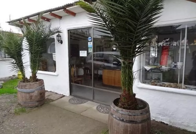 Aamiaismajoitus (B&B) Hostal Vida 2000