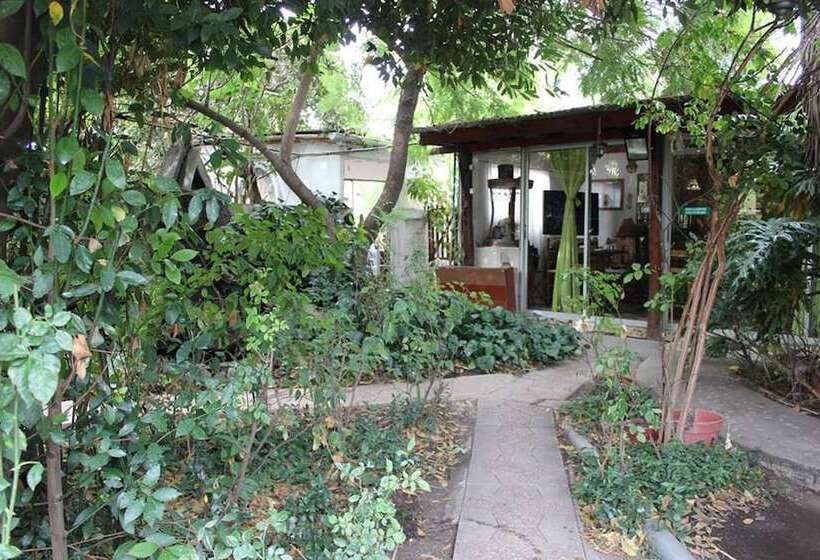 مبيت وإفطار Hostal Vida 2000