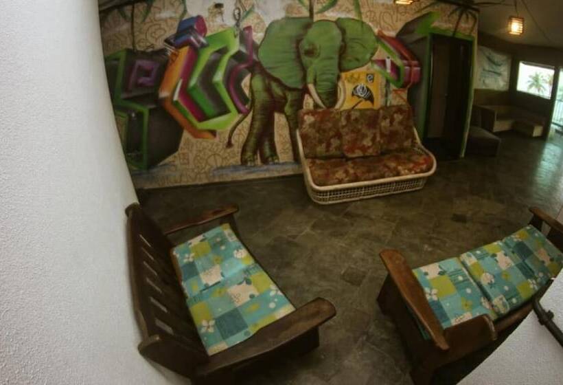 Curvão Surf House   Hostel