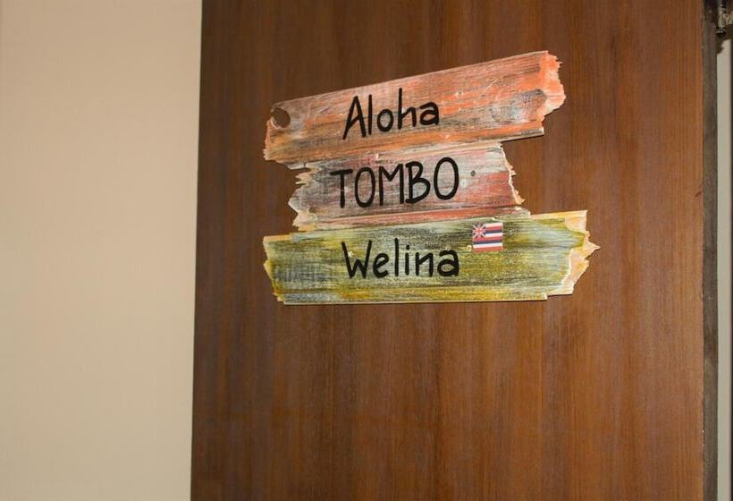 Curvão Surf House   Hostel