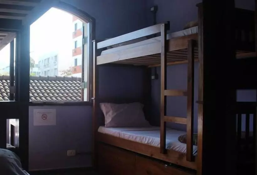 Curvão Surf House   Hostel