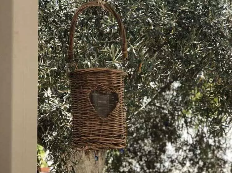 Hotelli Baharin Bahce Pansiyon