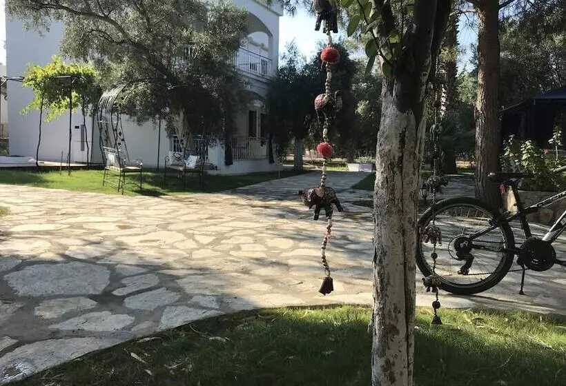 Hotelli Baharin Bahce Pansiyon