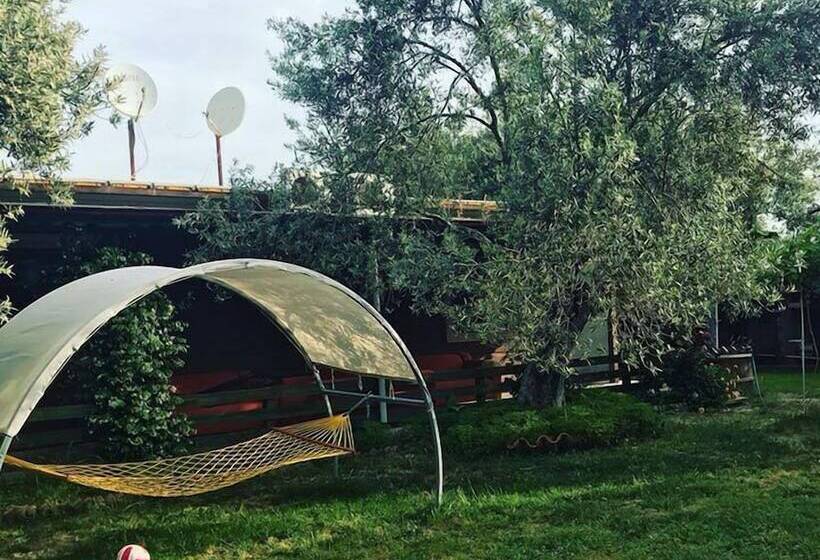 فندق Carpe Diem Bungalow