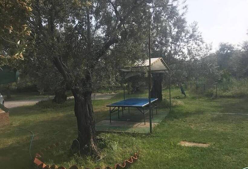 فندق Carpe Diem Bungalow