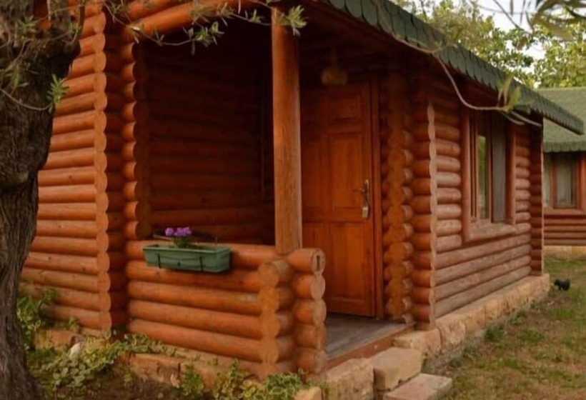 فندق Carpe Diem Bungalow