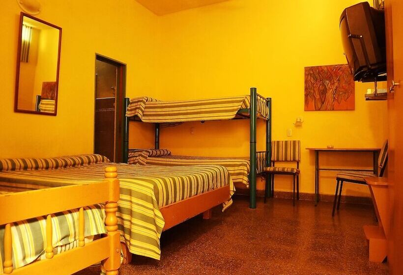 בית מלון כפרי Concordia