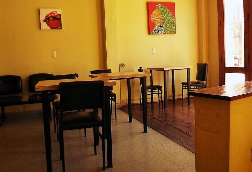 בית מלון כפרי Concordia