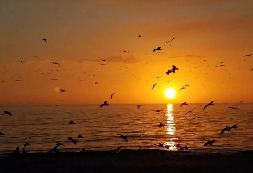 Hotelli Escape Resort & Marina