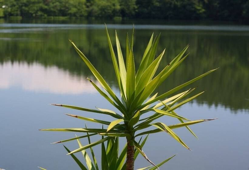Отель Gasthof Pension Bürger
