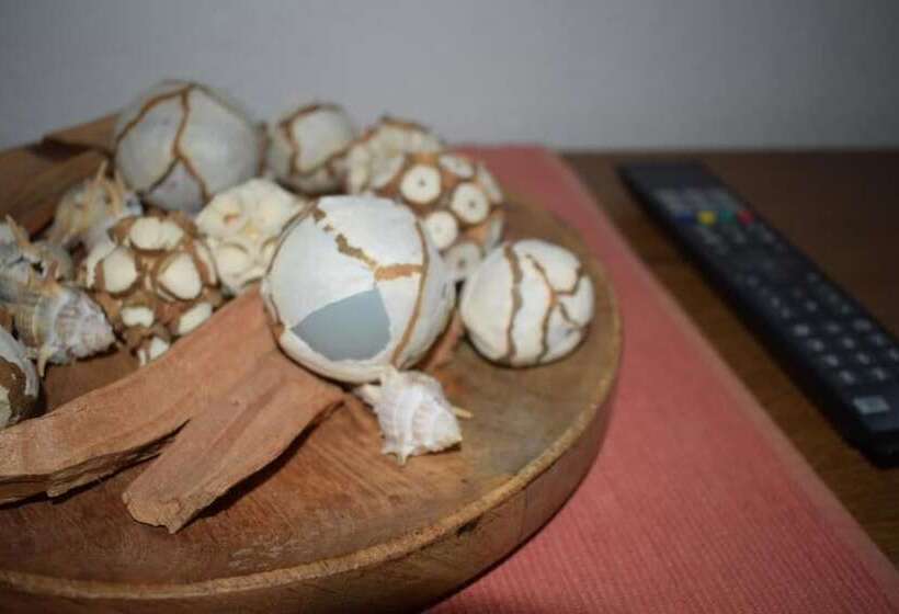 Отель Gasthof Pension Bürger