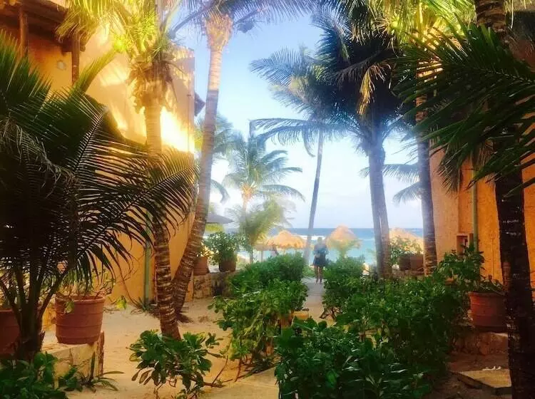 هتل Hammock Heaven